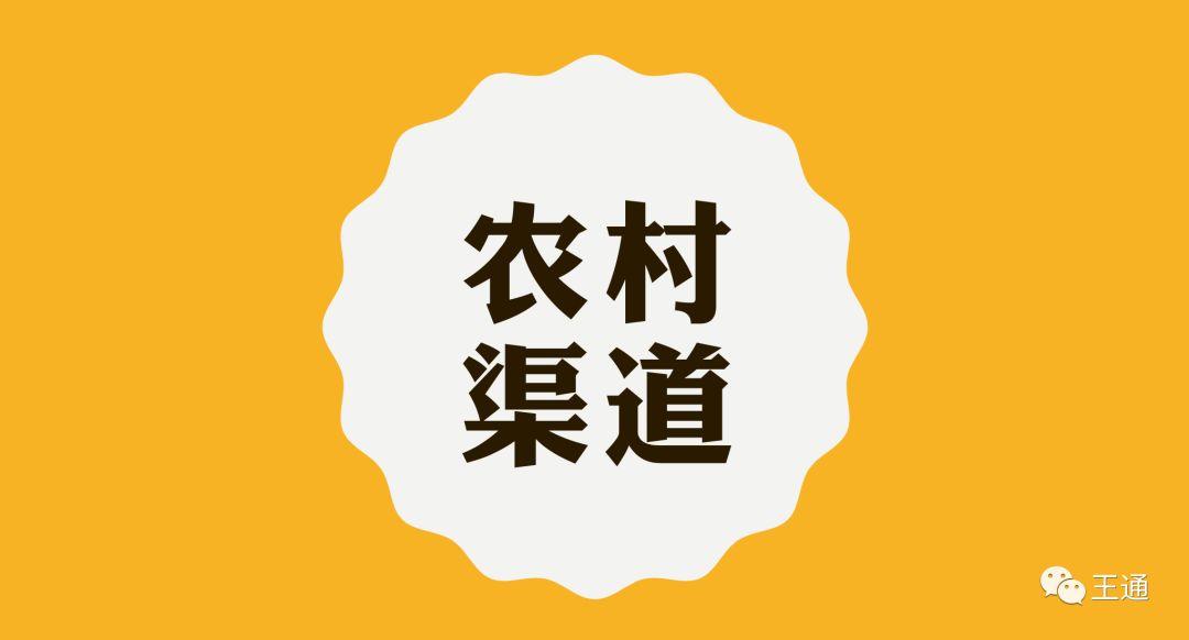 王通：中國最大農(nóng)村刷墻公司村村樂升級成最大渠道